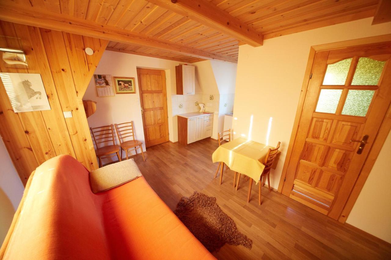 Siklawa Apartment Zakopane Bilik gambar